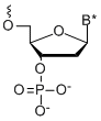 Bio-Synthesis Inc. Oligo Structure